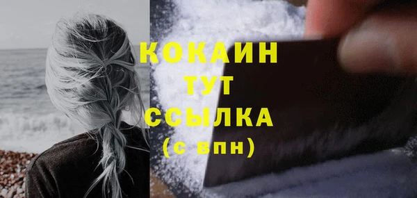 дживик Каменка