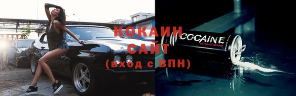 дживик Каменка