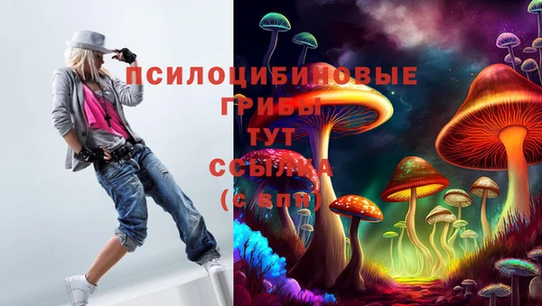 бошки Карпинск
