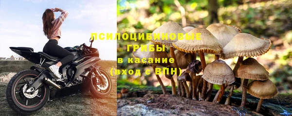 дживик Каменка