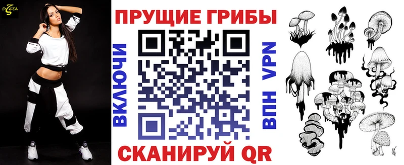 Псилоцибиновые грибы GOLDEN TEACHER  Купить где  Гусиноозёрск 